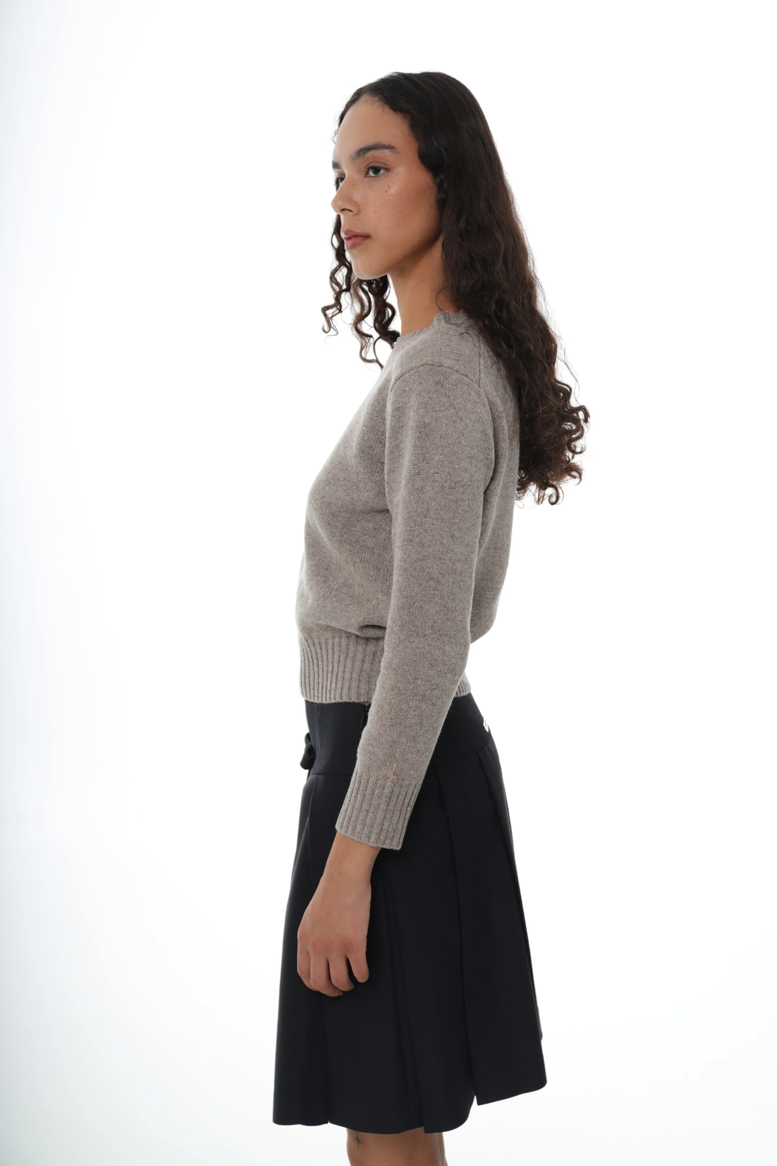 duck_sweater_in_taupe_2-1.webp DUCK SWEATER IN TAUPE>SANDY LIANG Store