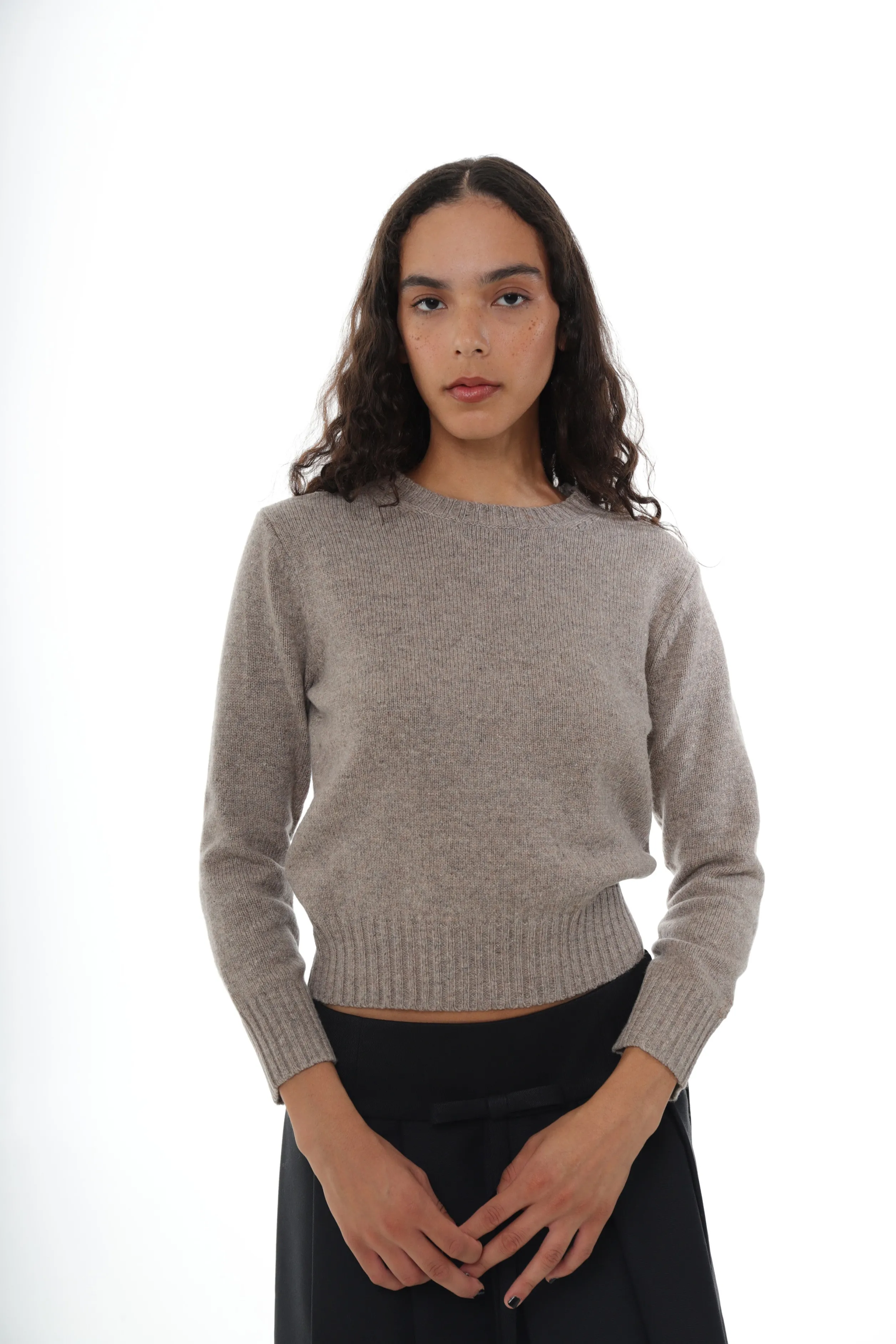 duck_sweater_in_taupe_3-1.webp DUCK SWEATER IN TAUPE>SANDY LIANG Store